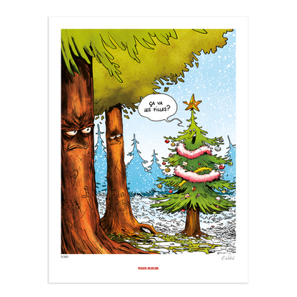 Pack Noël Glacial